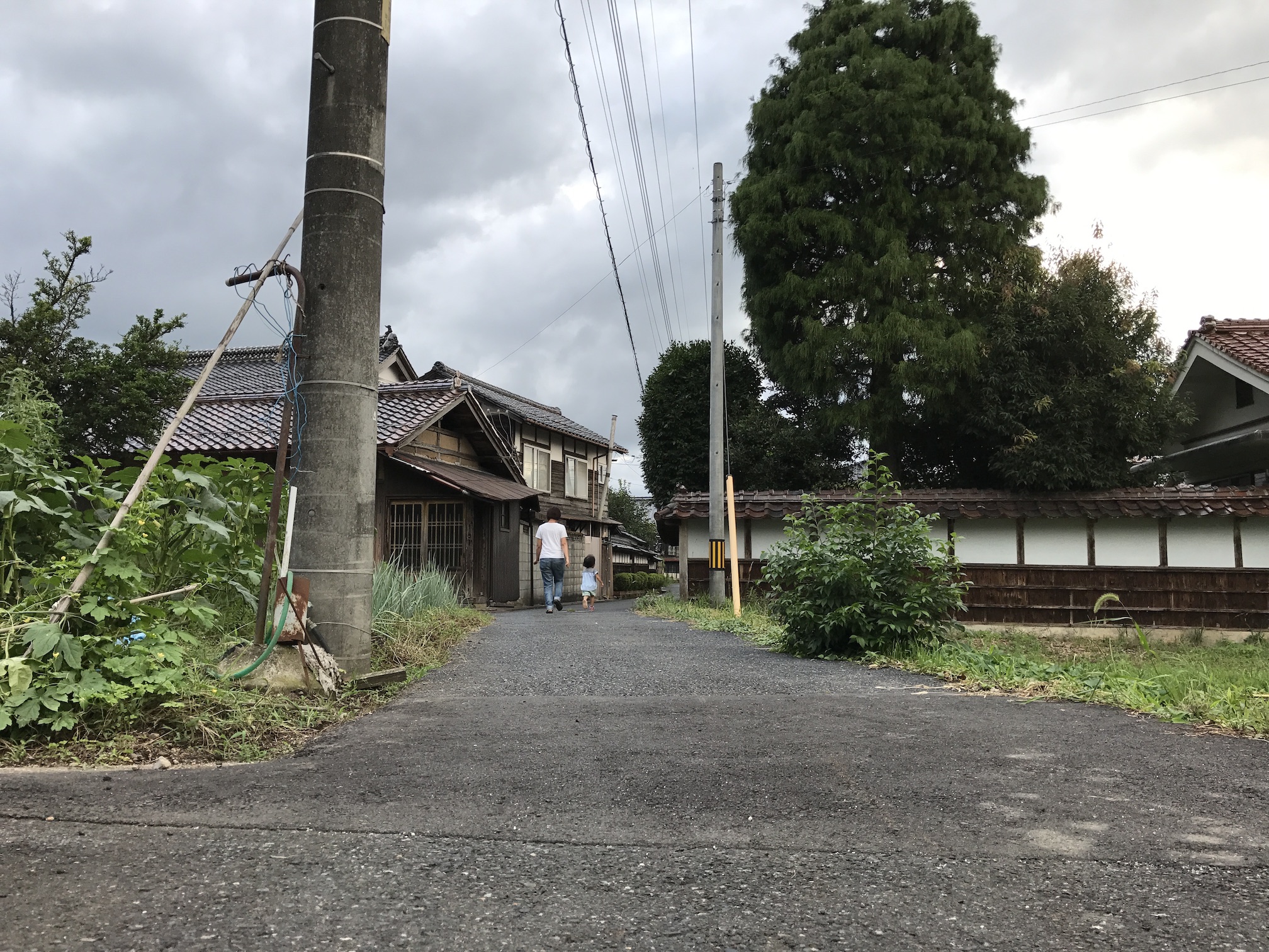 どうしようもなく「家族になってきた」のだ！