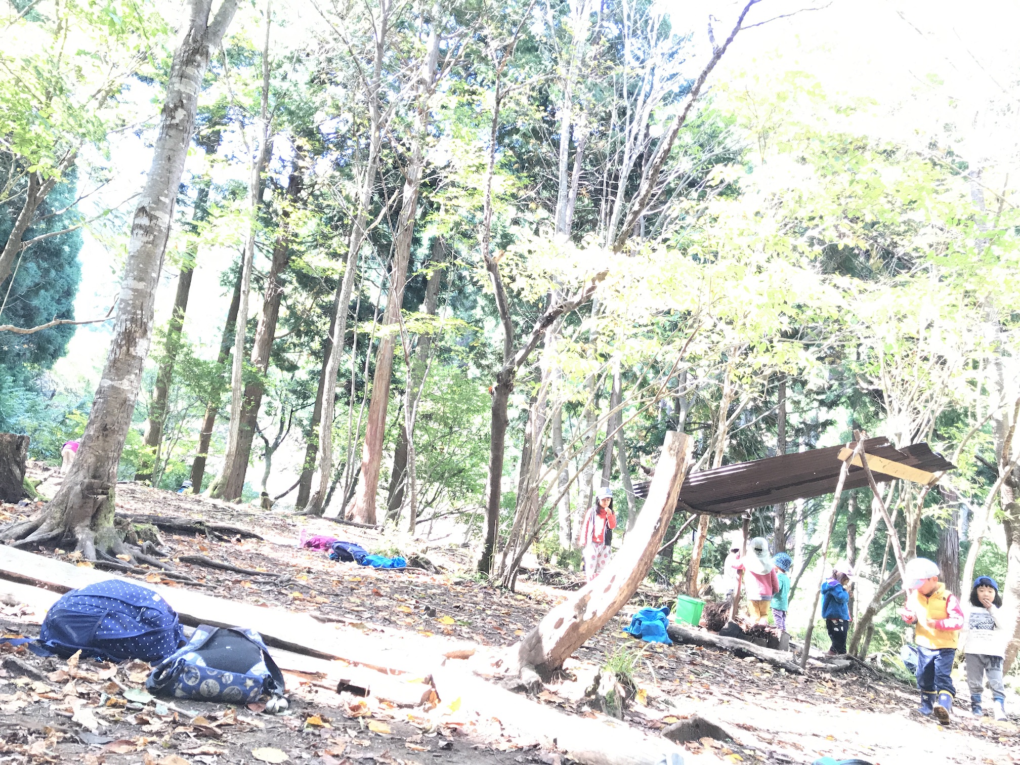 突然ですが、鳥取県智頭町への移住を決めました。